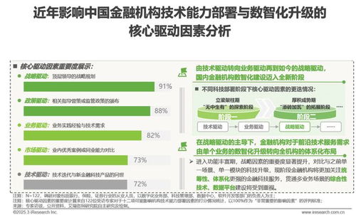 2025年中国金融科技（FinTech）行业发展洞察报告 信息技术咨询服务的核心作用
